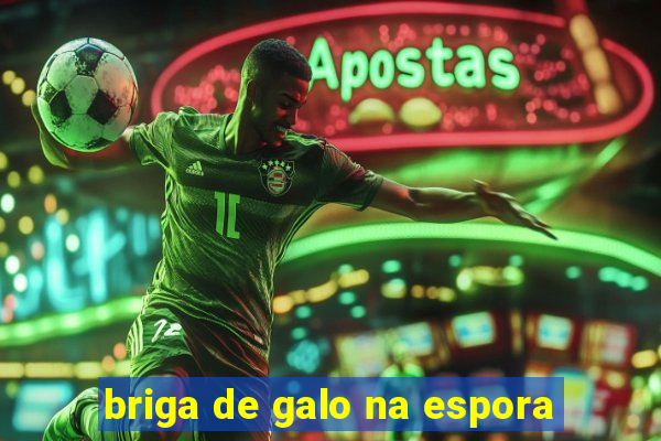 briga de galo na espora